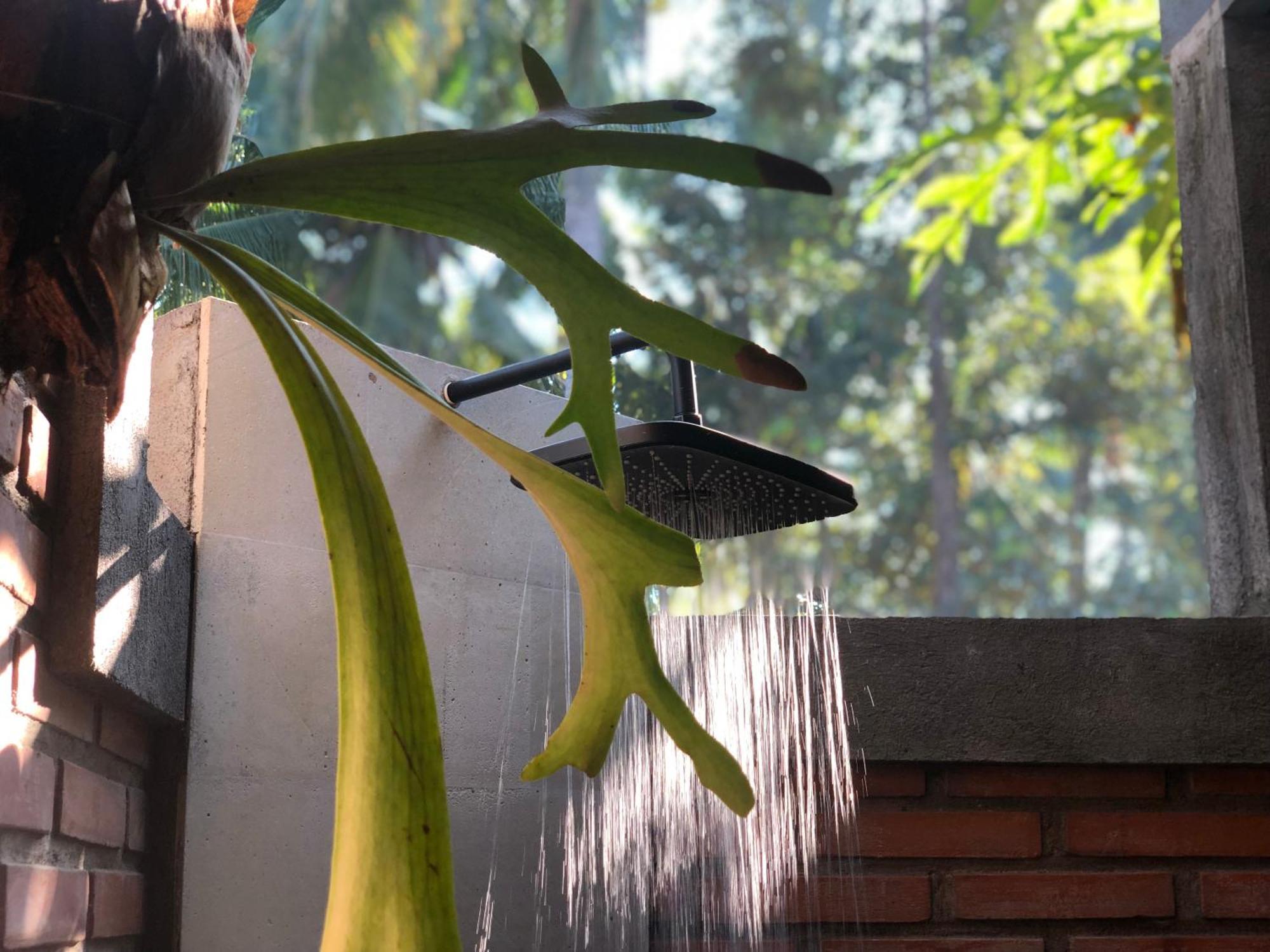 Coco Garden Pool Villas Kubutambahan  Bagian luar foto